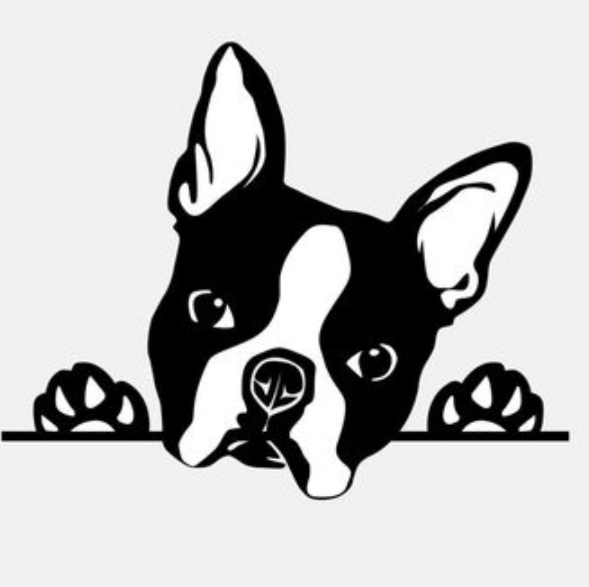 shortymcnostrl's profile picture